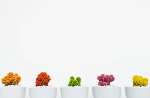 GEO 與 SEO：AI 時(shí)代，不是“接班”而是“并行”